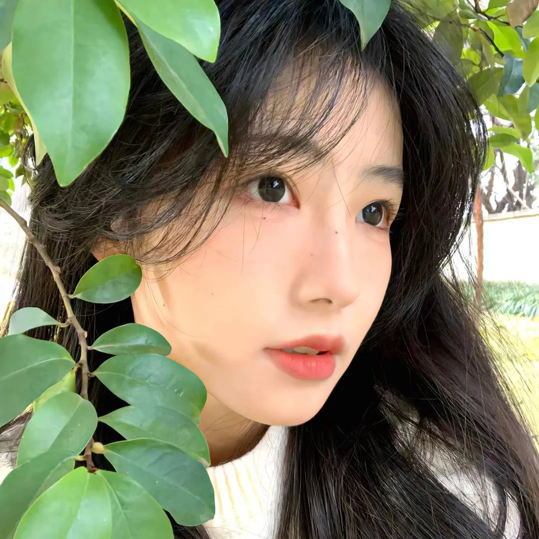 诺瓦利斯的蓝玫瑰